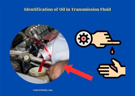 engine oil leaking from transmission|Oil Intrusion: Reasons Behind Oil Presence in。